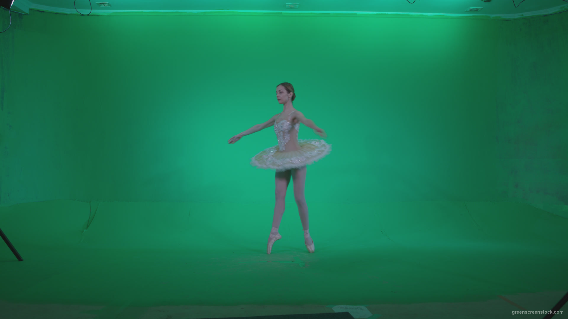 Ballet-White-Swan-s5-Green-Screen-Video-Footage_005 Green Screen Stock