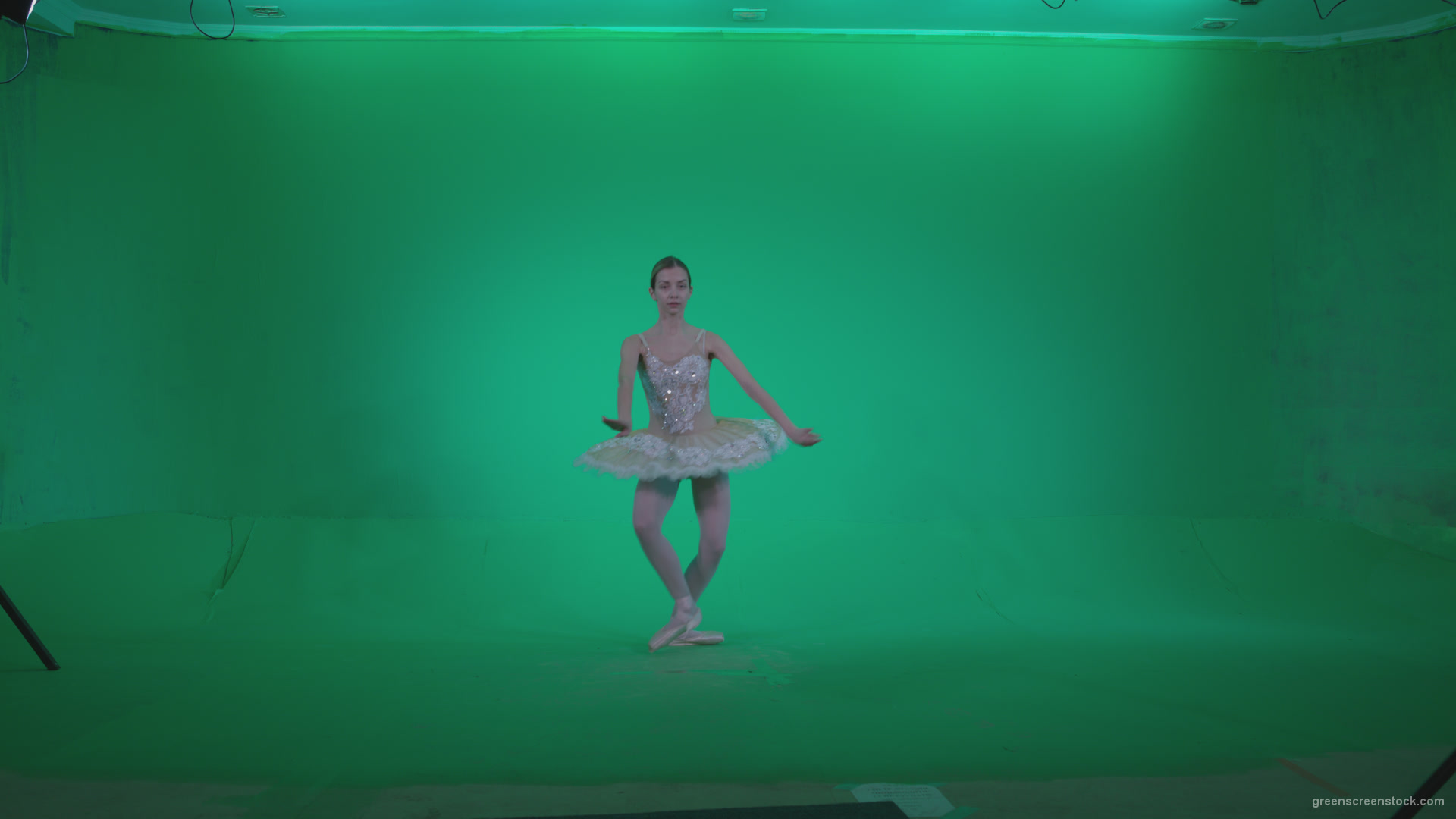 Ballet-White-Swan-s5-Green-Screen-Video-Footage_006 Green Screen Stock