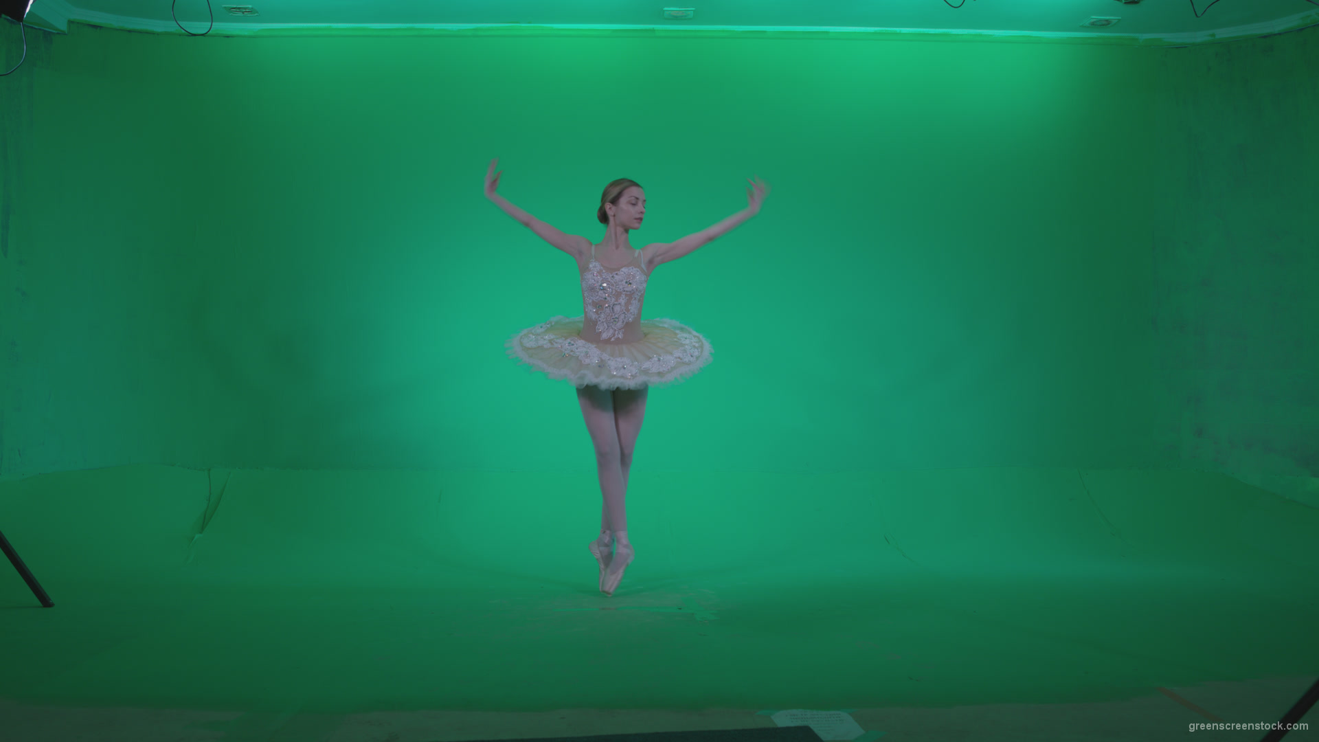 Ballet-White-Swan-s5-Green-Screen-Video-Footage_007 Green Screen Stock