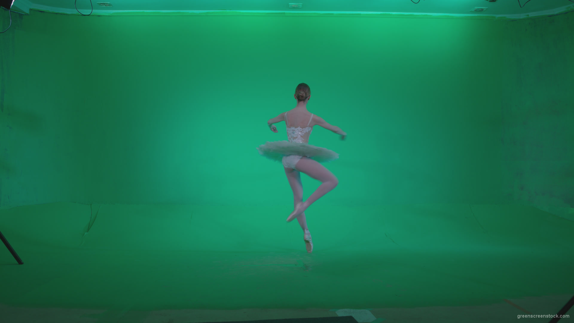 Ballet-White-Swan-s5-Green-Screen-Video-Footage_008 Green Screen Stock