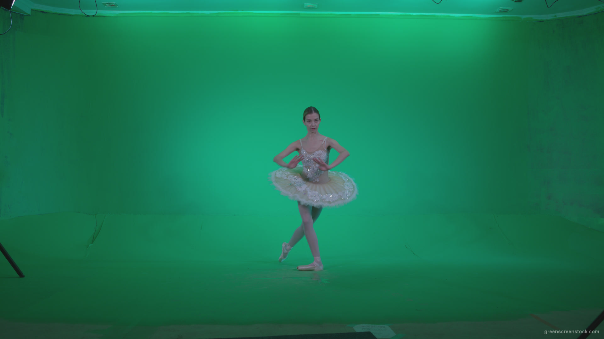 Ballet-White-Swan-s5-Green-Screen-Video-Footage_009 Green Screen Stock