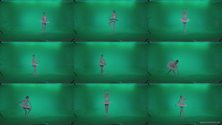 Ballet-White-Swan-s6-Green-Screen-Video-Footage Green Screen Stock
