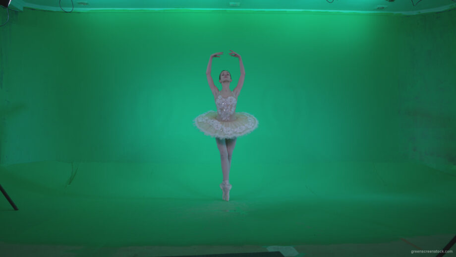 vj video background Ballet-White-Swan-s6-Green-Screen-Video-Footage_003
