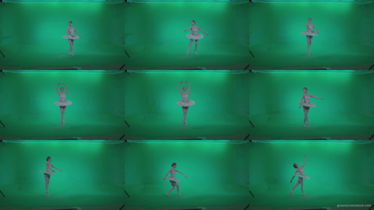 Ballet-White-Swan-s7-Green-Screen-Video-Footage Green Screen Stock