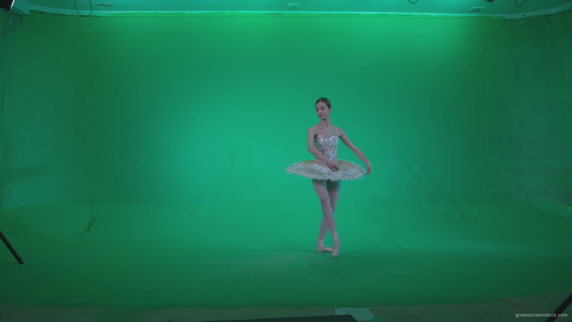 Ballet-White-Swan-s7-Green-Screen-Video-Footage_001 Green Screen Stock
