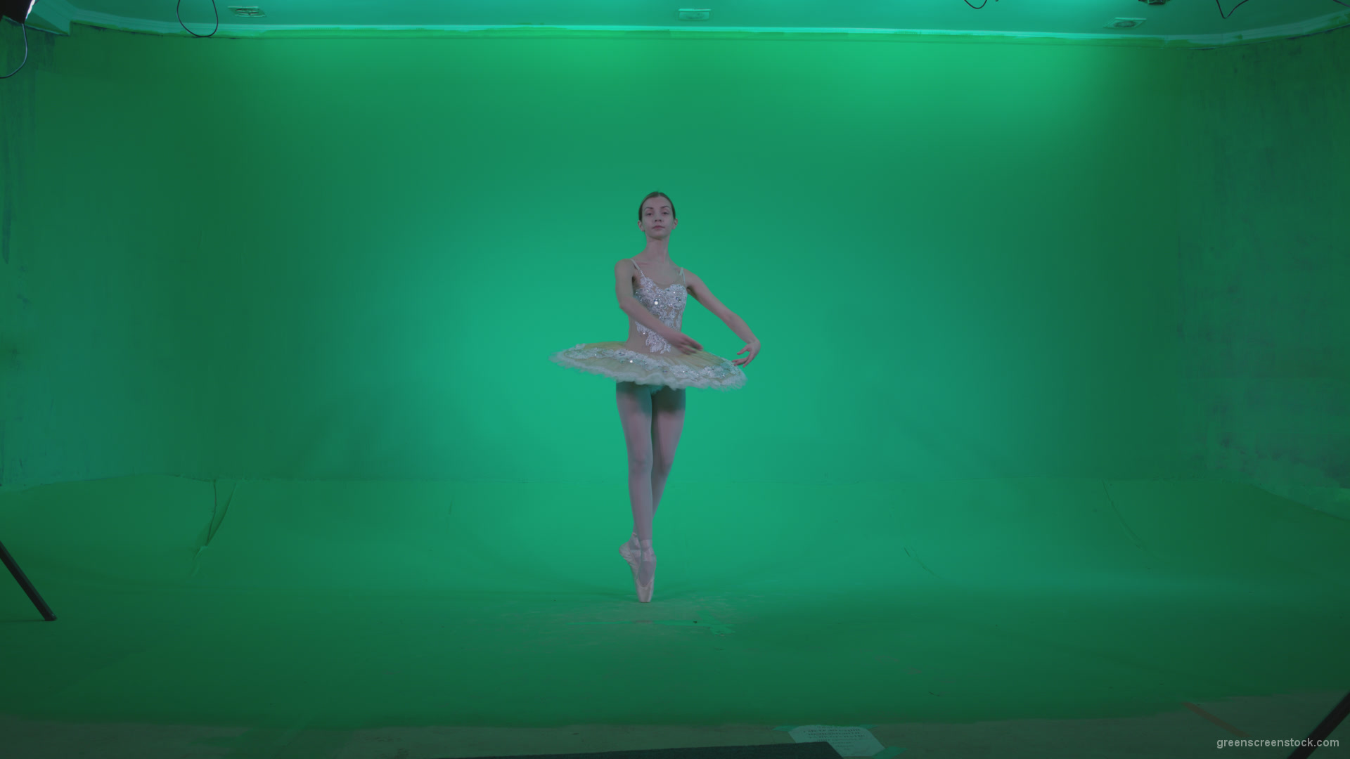 vj video background Ballet-White-Swan-s7-Green-Screen-Video-Footage_003