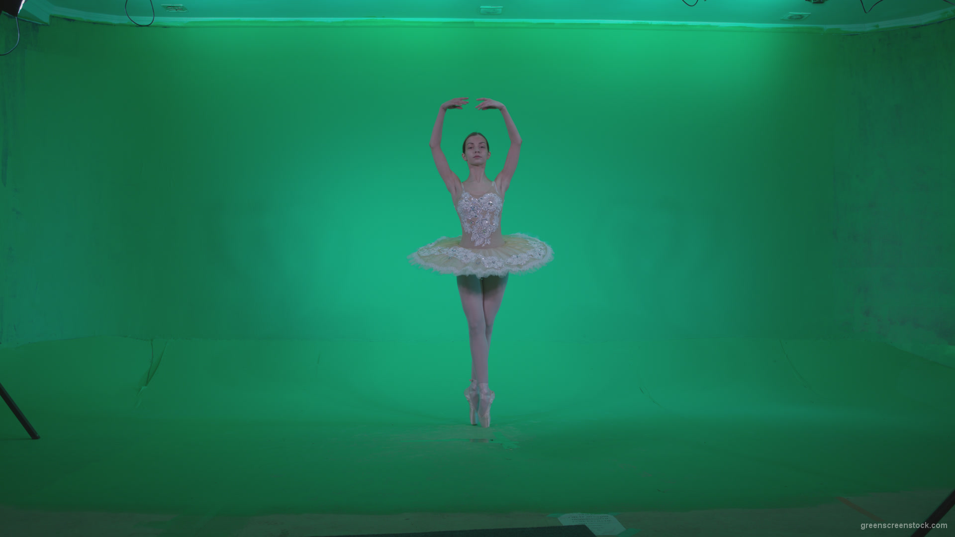 Ballet-White-Swan-s7-Green-Screen-Video-Footage_004 Green Screen Stock