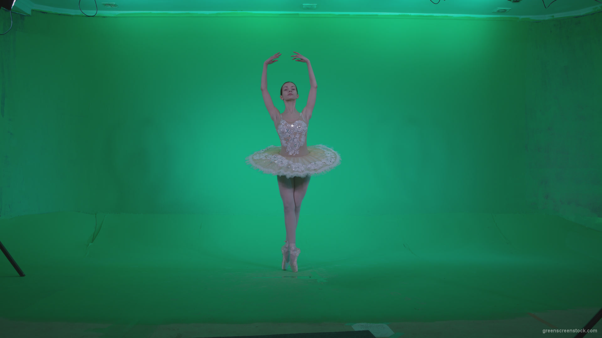 Ballet-White-Swan-s7-Green-Screen-Video-Footage_005 Green Screen Stock