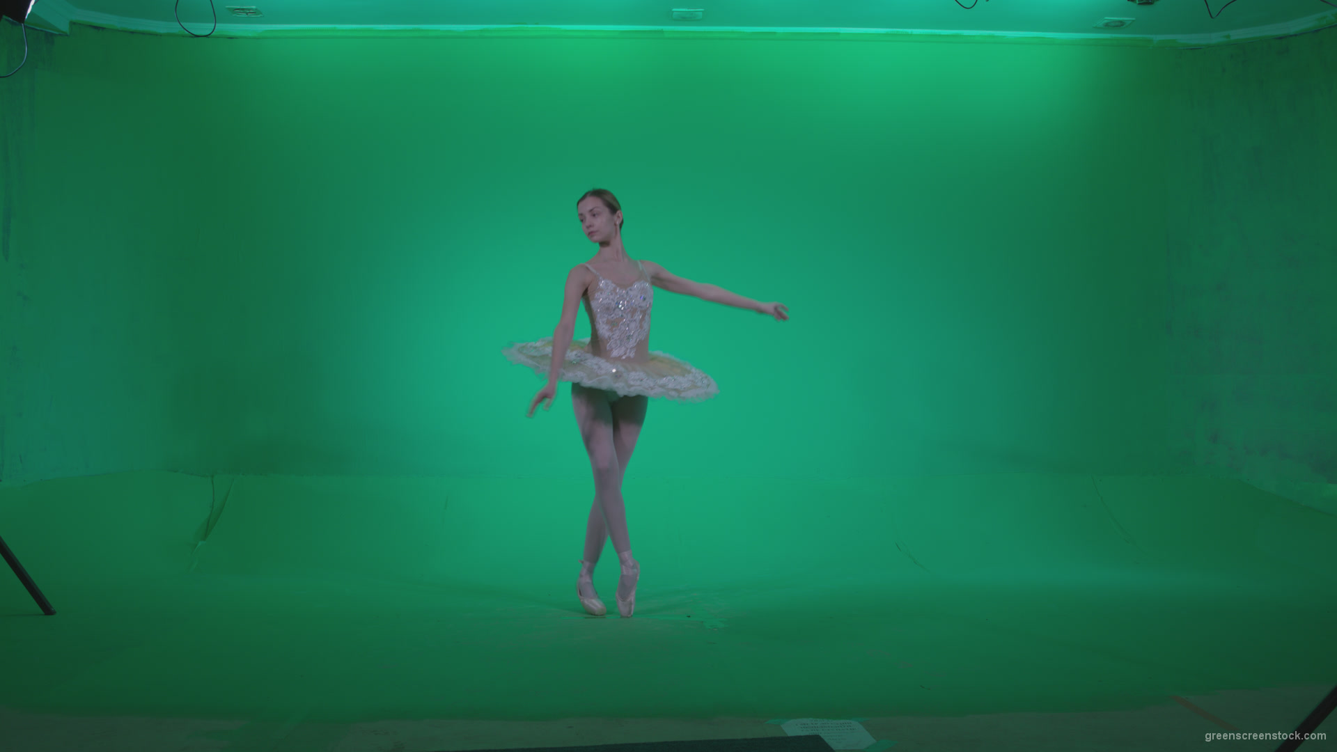 Ballet-White-Swan-s7-Green-Screen-Video-Footage_006 Green Screen Stock