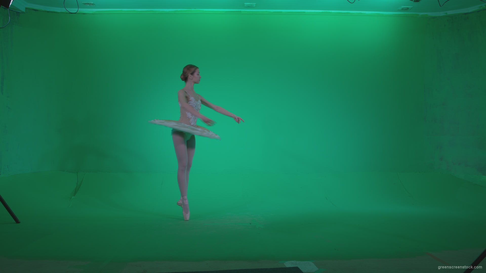 Ballet-White-Swan-s7-Green-Screen-Video-Footage_007 Green Screen Stock