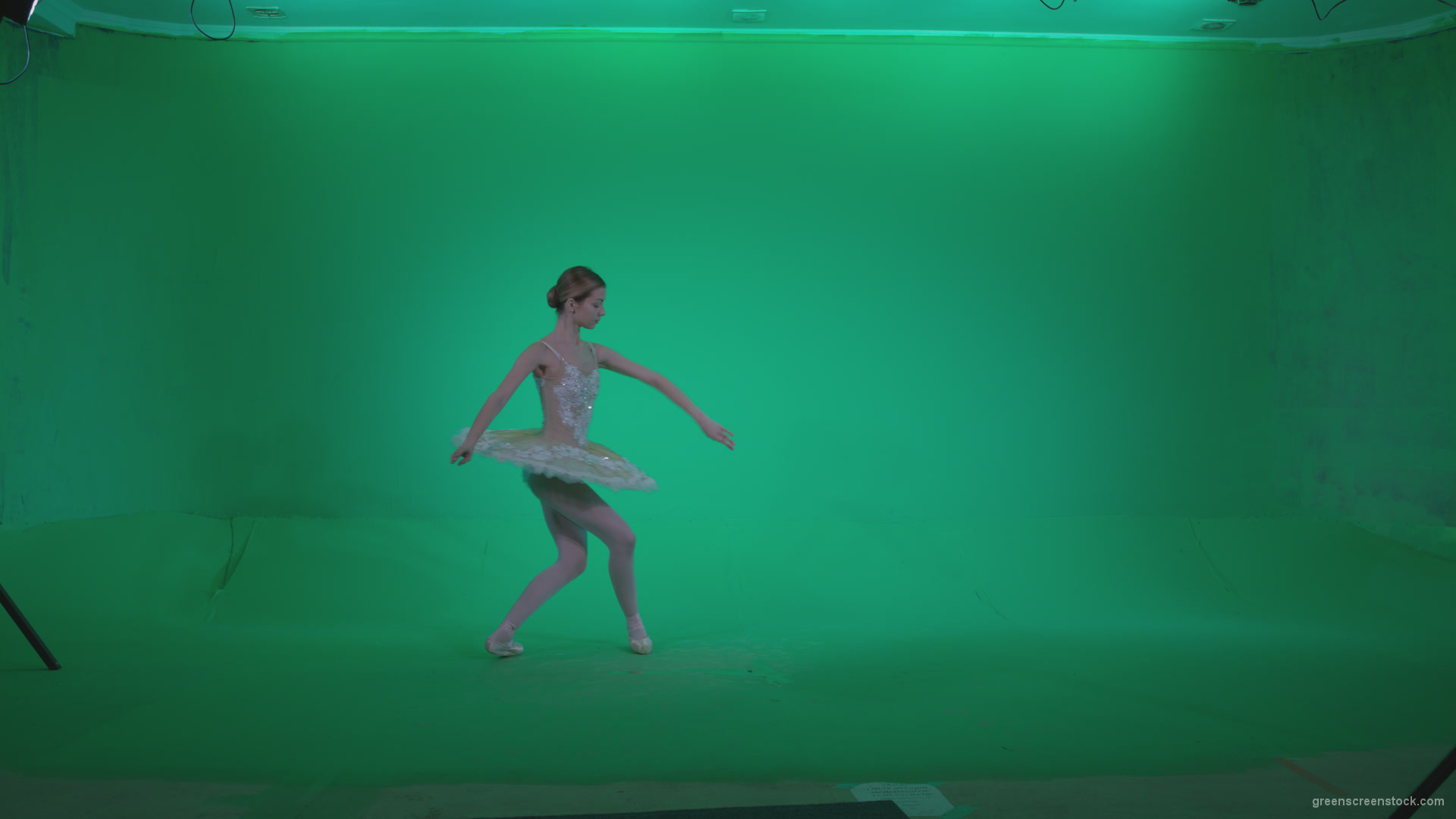 Ballet-White-Swan-s7-Green-Screen-Video-Footage_008 Green Screen Stock
