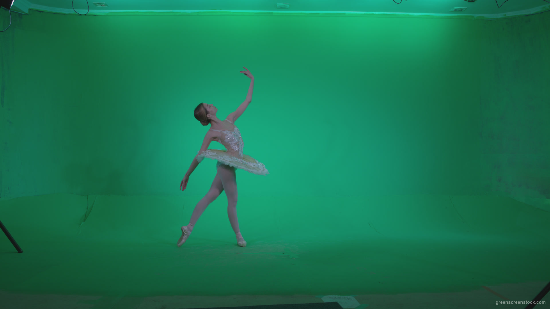 Ballet-White-Swan-s7-Green-Screen-Video-Footage_009 Green Screen Stock