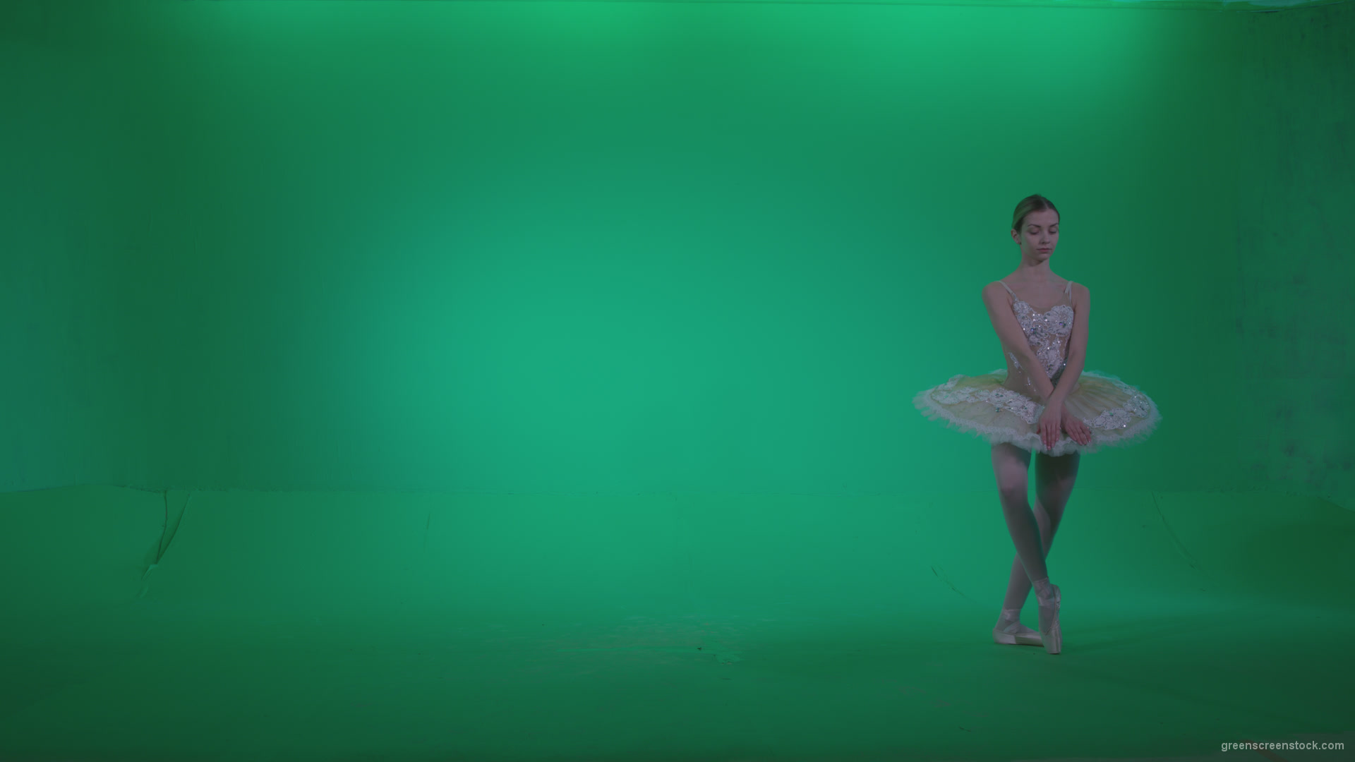 Ballet-White-Swan-s9-Green-Screen-Video-Footage_001 Green Screen Stock