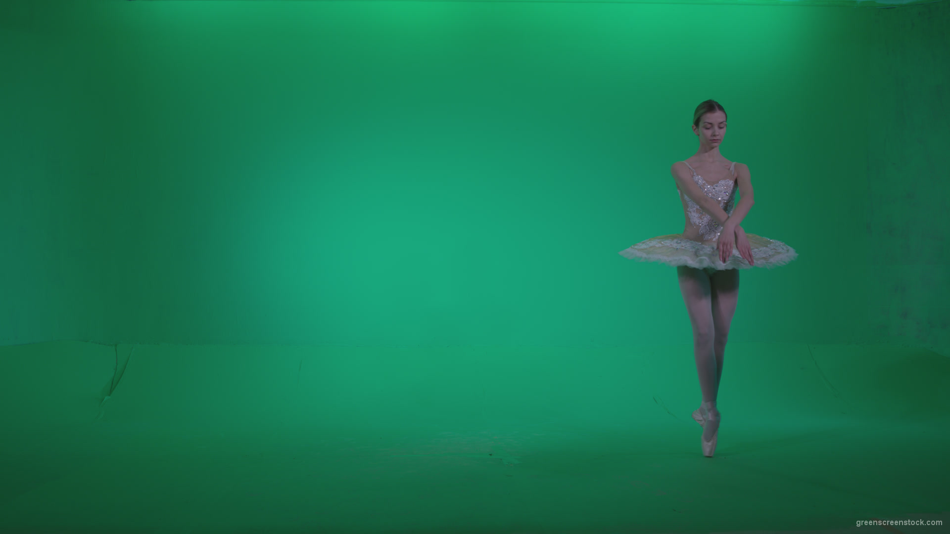 Ballet-White-Swan-s9-Green-Screen-Video-Footage_002 Green Screen Stock