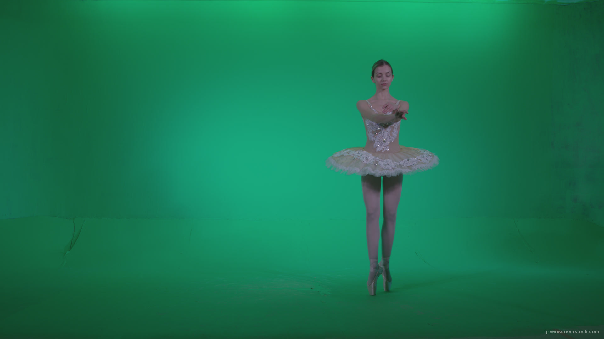 Ballet-White-Swan-s9-Green-Screen-Video-Footage_004 Green Screen Stock