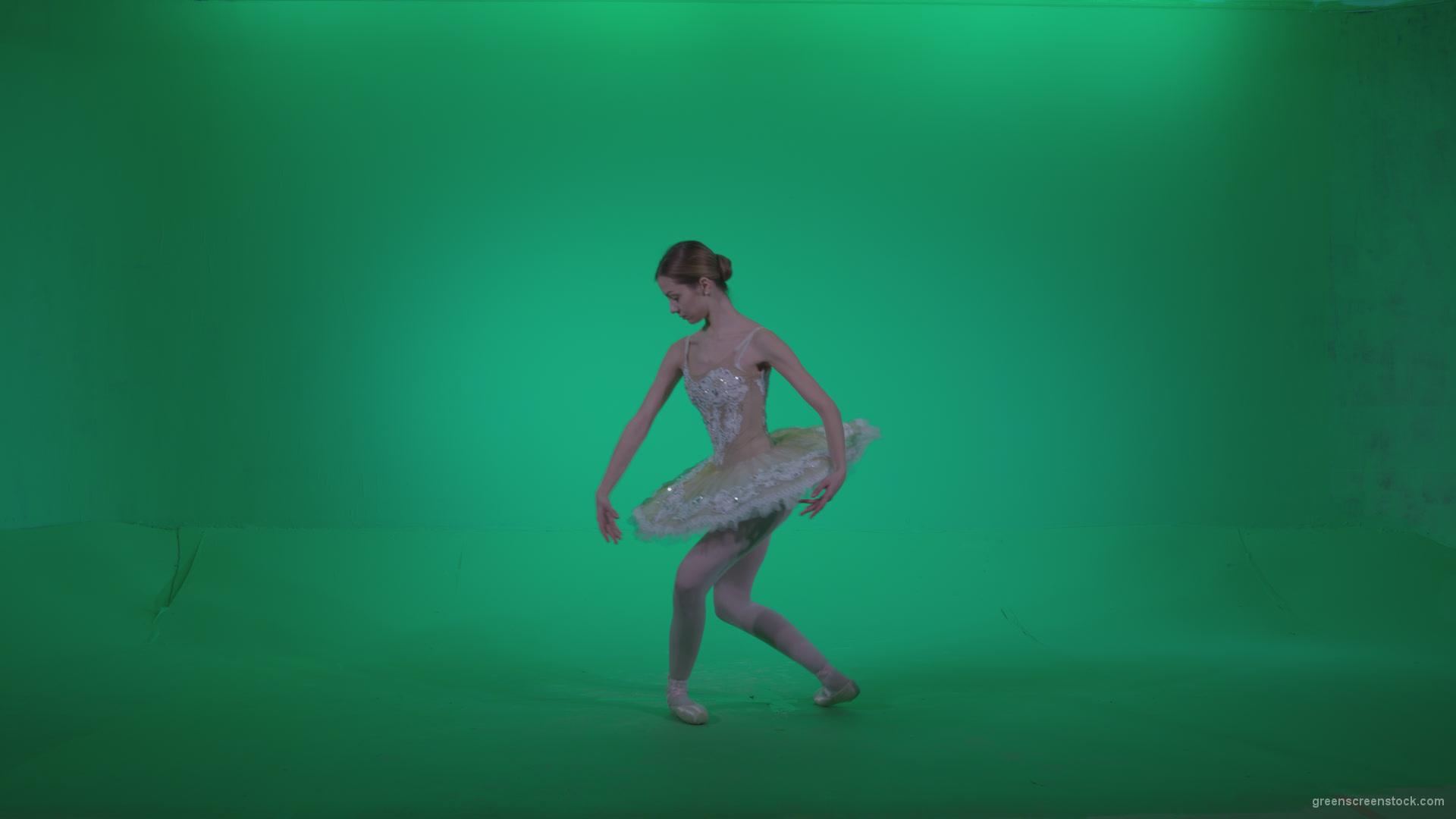 Ballet-White-Swan-s9-Green-Screen-Video-Footage_006 Green Screen Stock