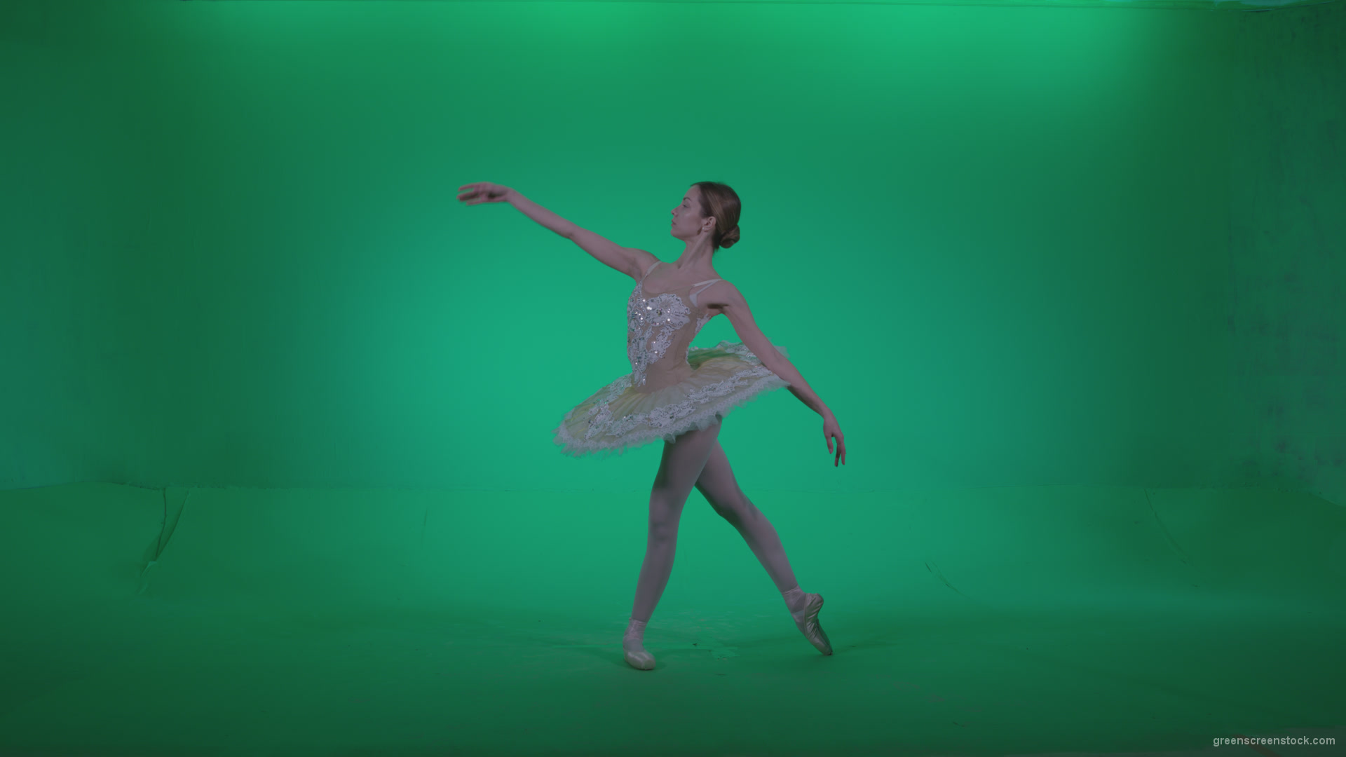 Ballet-White-Swan-s9-Green-Screen-Video-Footage_007 Green Screen Stock