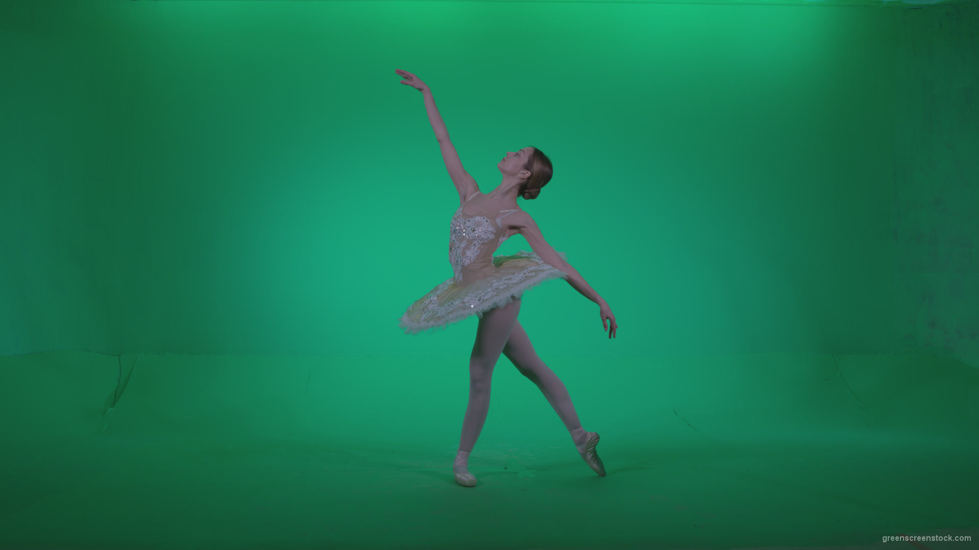 Ballet-White-Swan-s9-Green-Screen-Video-Footage_008 Green Screen Stock