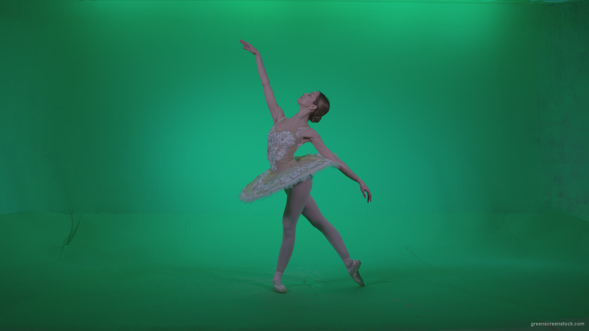 Ballet-White-Swan-s9-Green-Screen-Video-Footage_009 Green Screen Stock