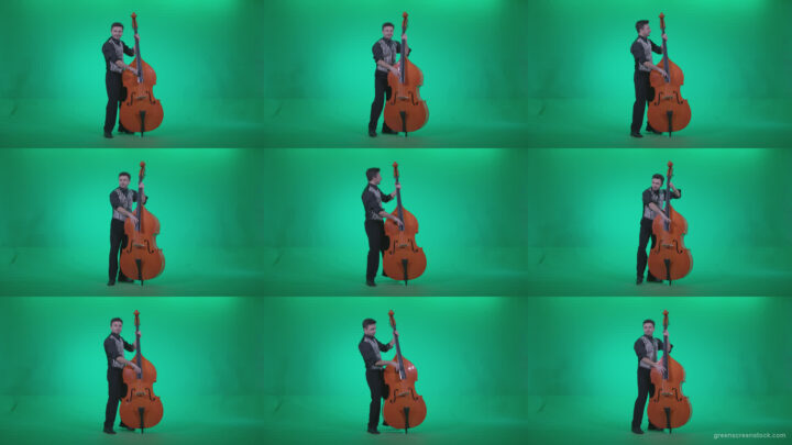 Contrabass-Jazz-Performer-j13-Green-Screen-Video-Footage Green Screen Stock