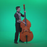 vj video background Contrabass-Jazz-Performer-j13-Green-Screen-Video-Footage_003