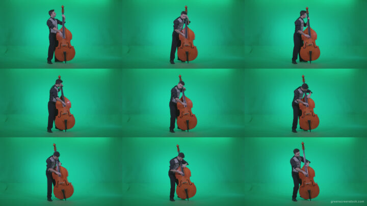 Contrabass-Jazz-Performer-j4 Green Screen Stock