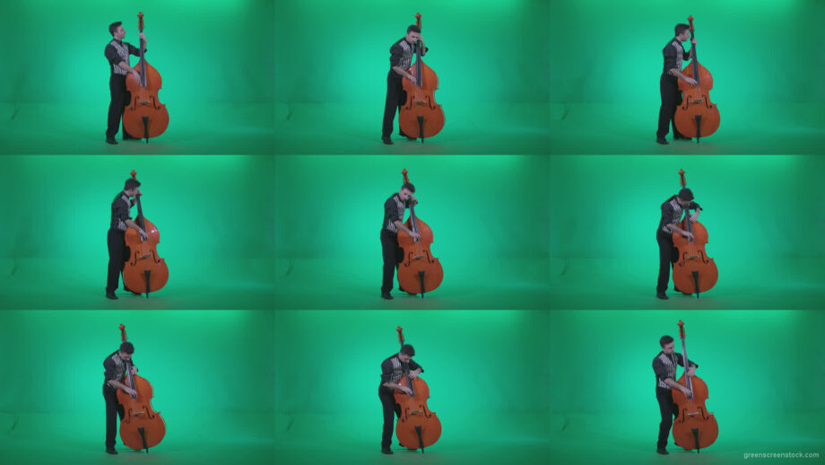 Contrabass-Jazz-Performer-j4 Green Screen Stock