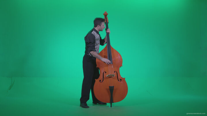 vj video background Contrabass-Jazz-Performer-j4_003