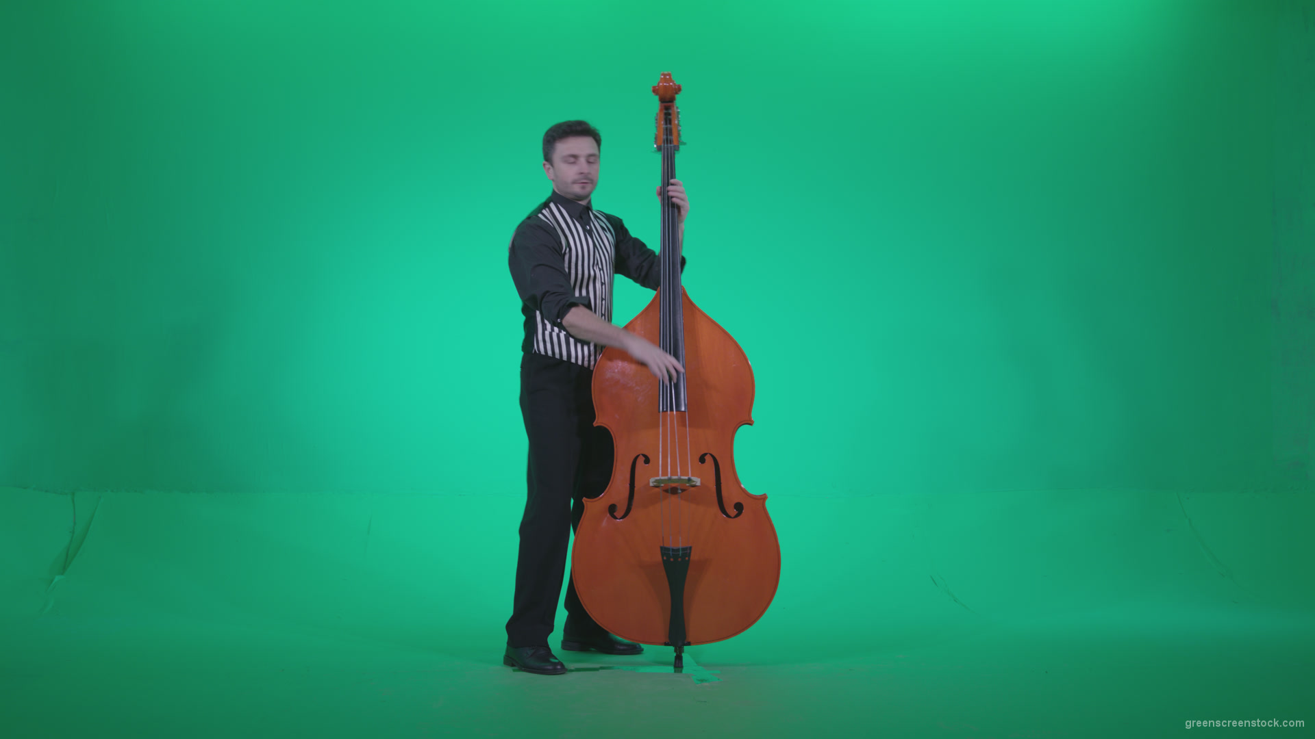 Contrabass-Jazz-Performer-j5-Green-Screen-Video-Footage_002 Green Screen Stock