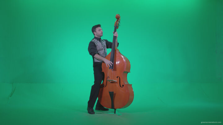 vj video background Contrabass-Jazz-Performer-j5-Green-Screen-Video-Footage_003