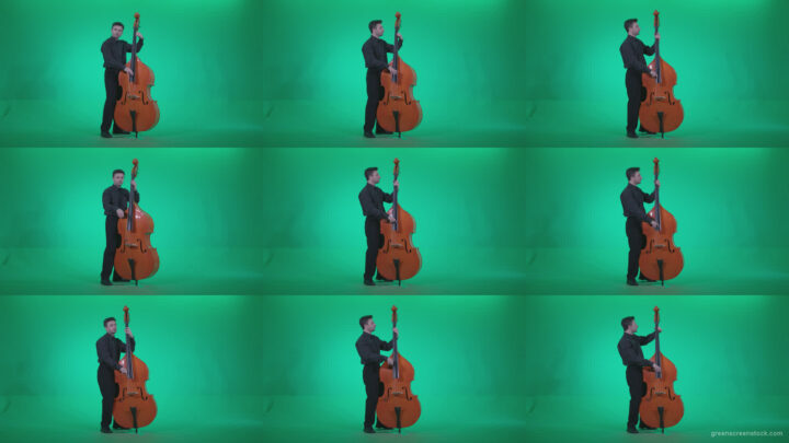 Contrabass-Jazz-Performer-j6-Green-Screen-Video-Footage Green Screen Stock