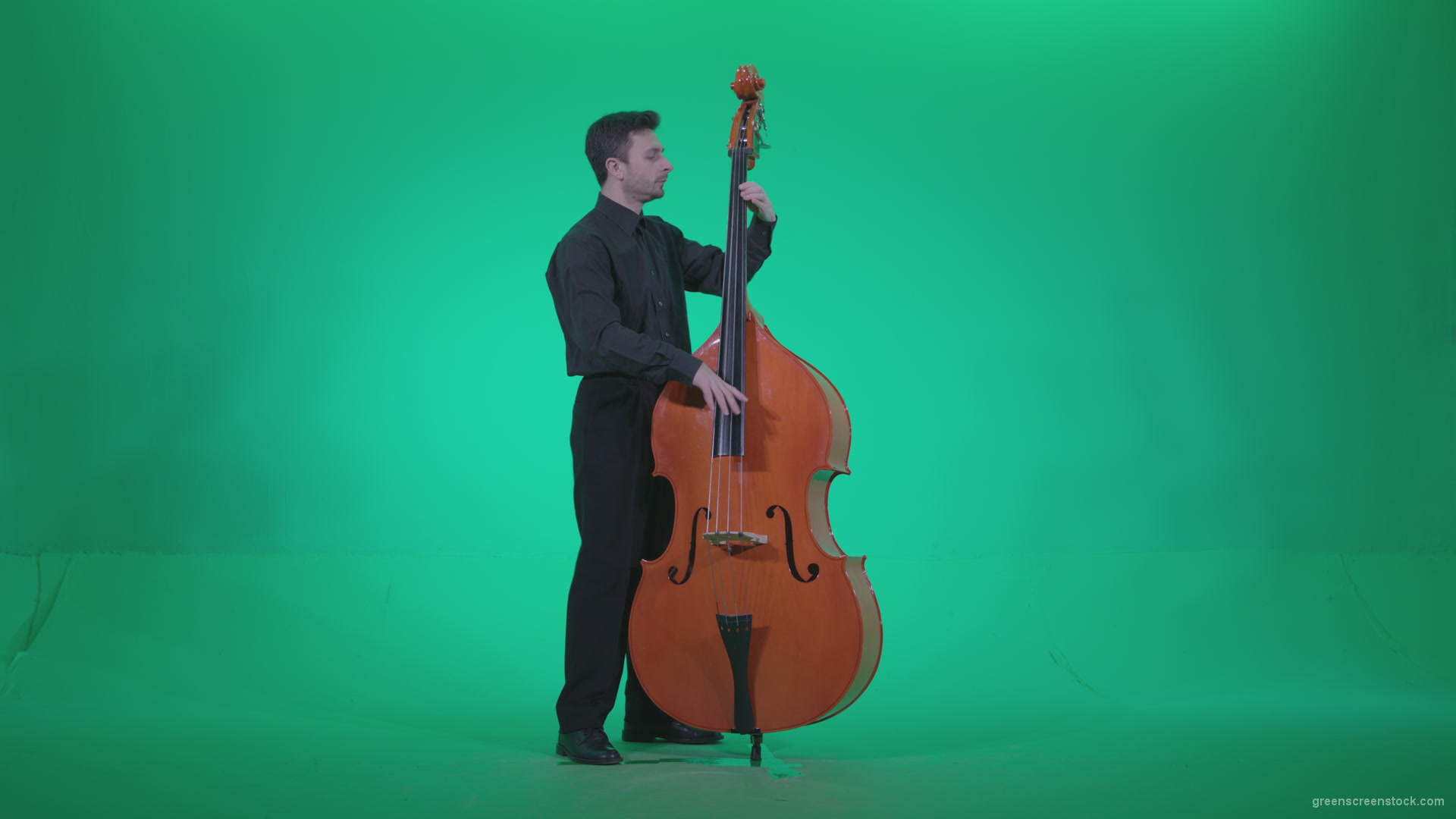Contrabass-Jazz-Performer-j6-Green-Screen-Video-Footage_002 Green Screen Stock