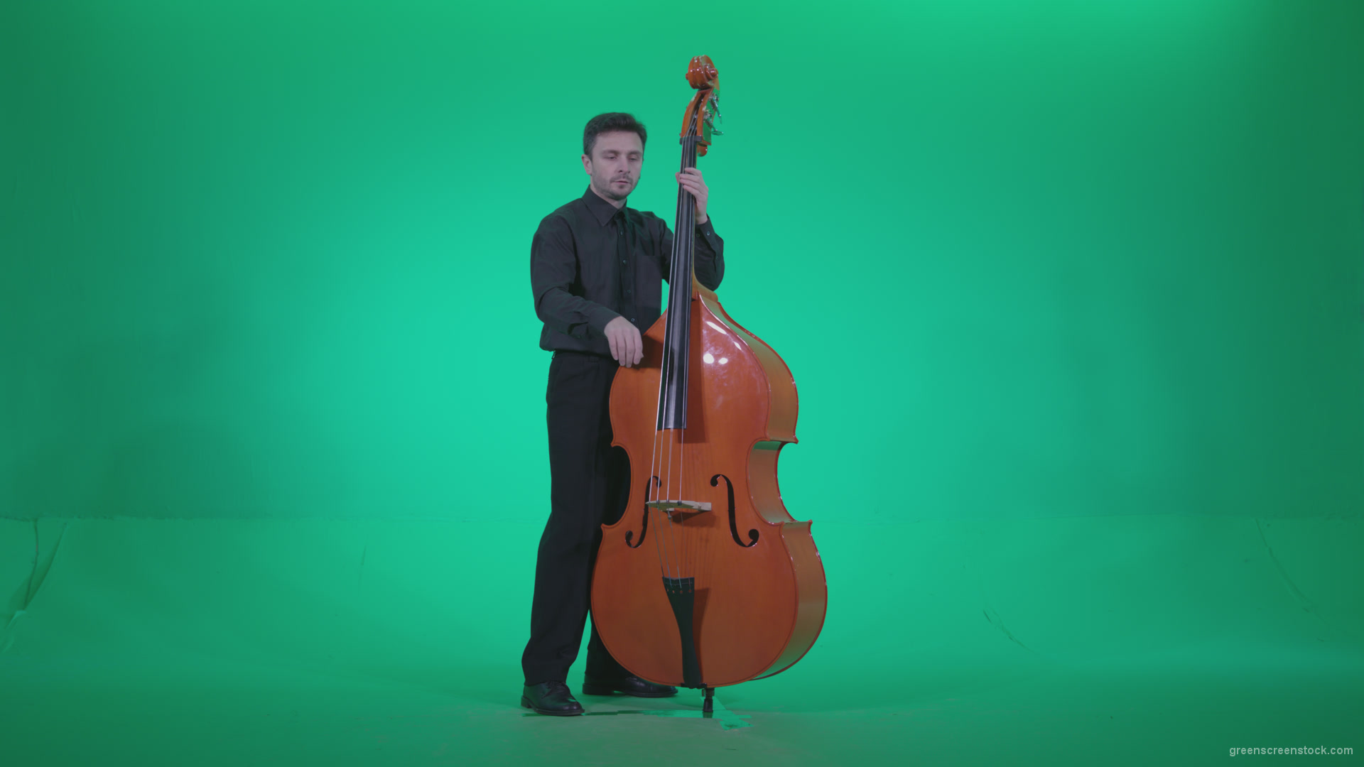 Contrabass-Jazz-Performer-j6-Green-Screen-Video-Footage_004 Green Screen Stock