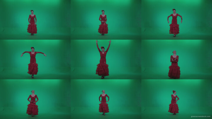 Flamenco-Red-Dress-rd3 Green Screen Stock
