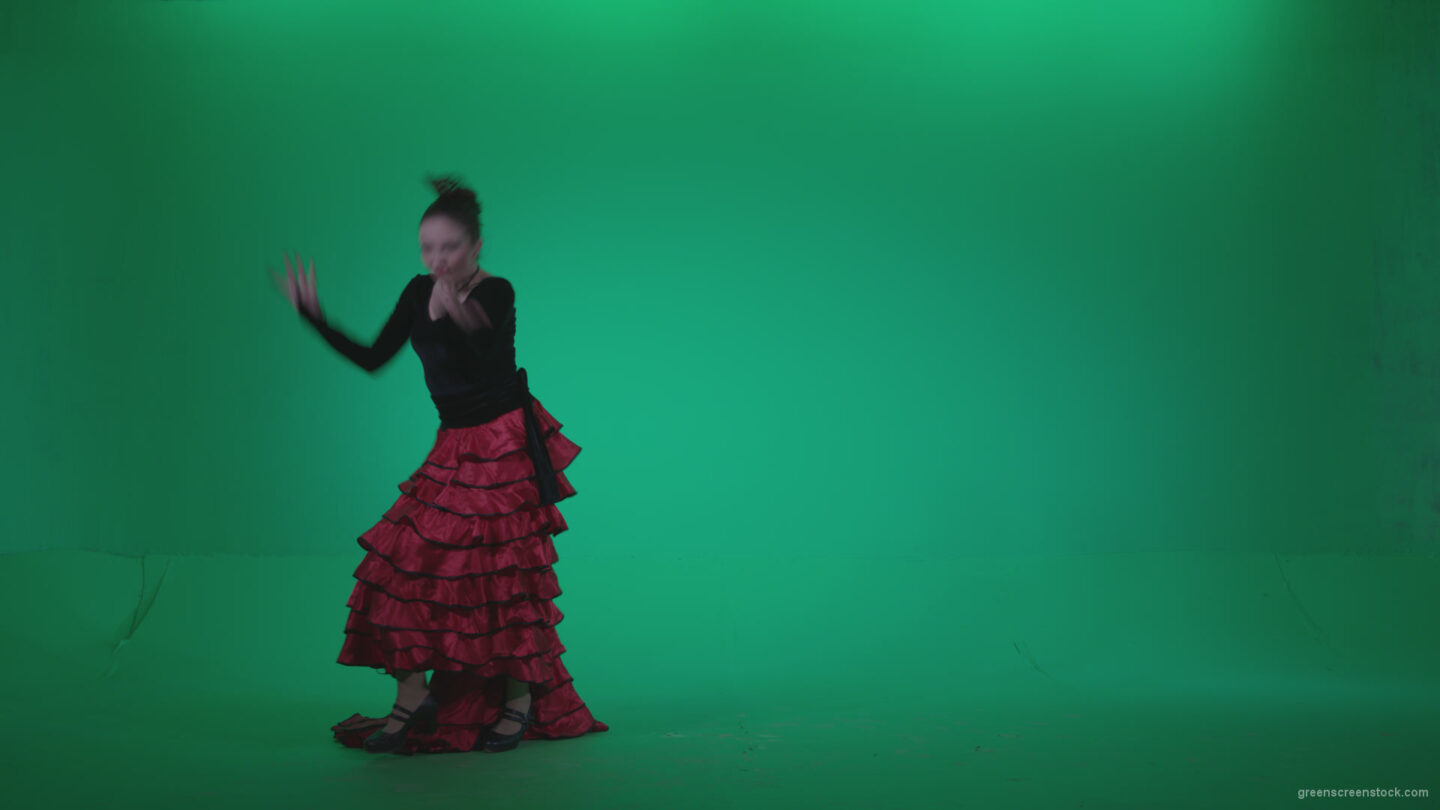 vj video background Flamenco-Red-and-Black-Dress-rb1_003
