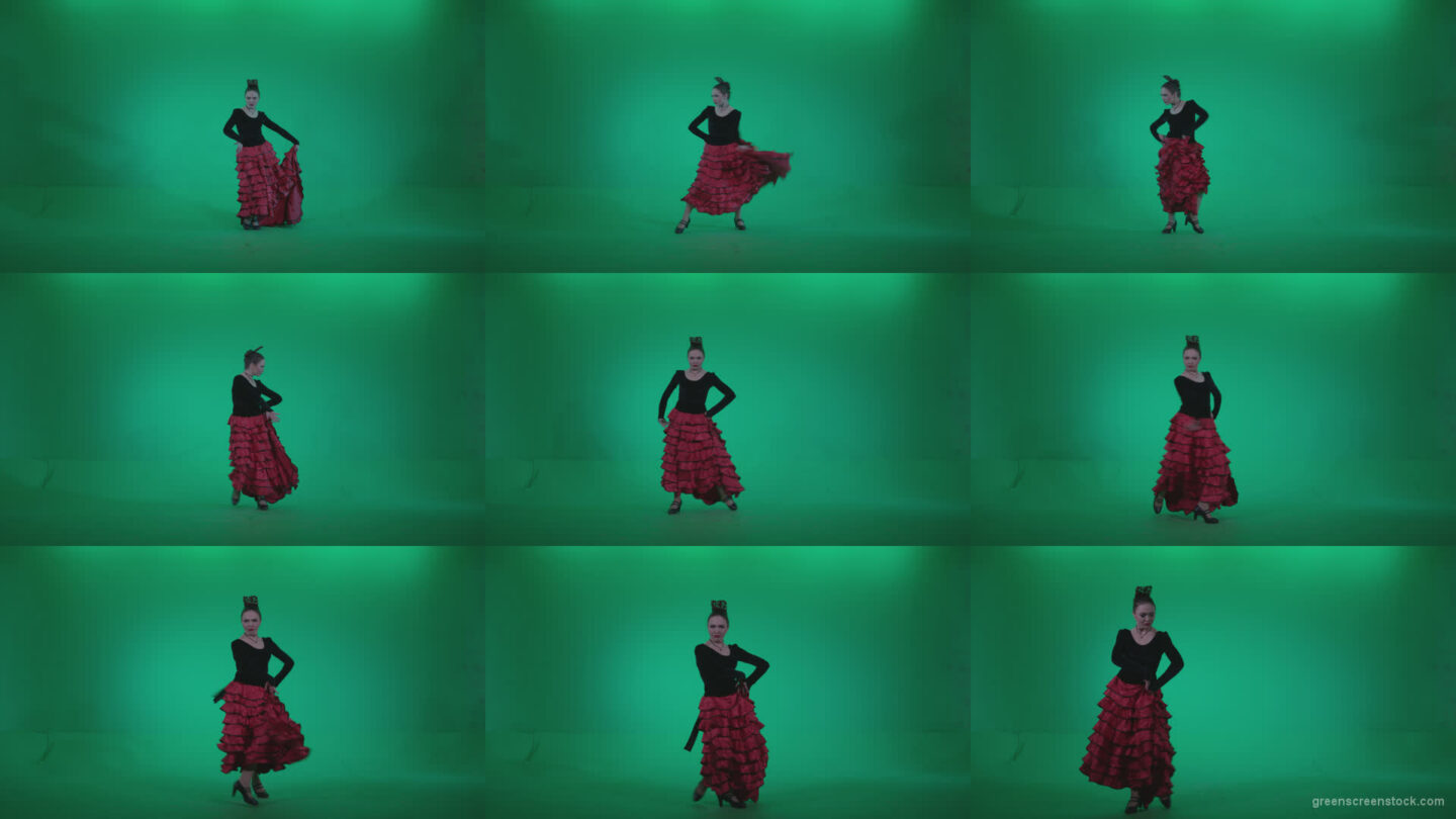 Flamenco-Red-and-Black-Dress-rb2 Green Screen Stock