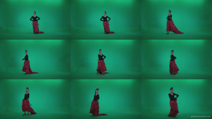 Flamenco-Red-and-Black-Dress-rb3 Green Screen Stock