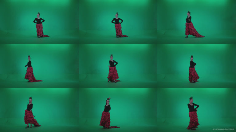 Flamenco-Red-and-Black-Dress-rb3 Green Screen Stock