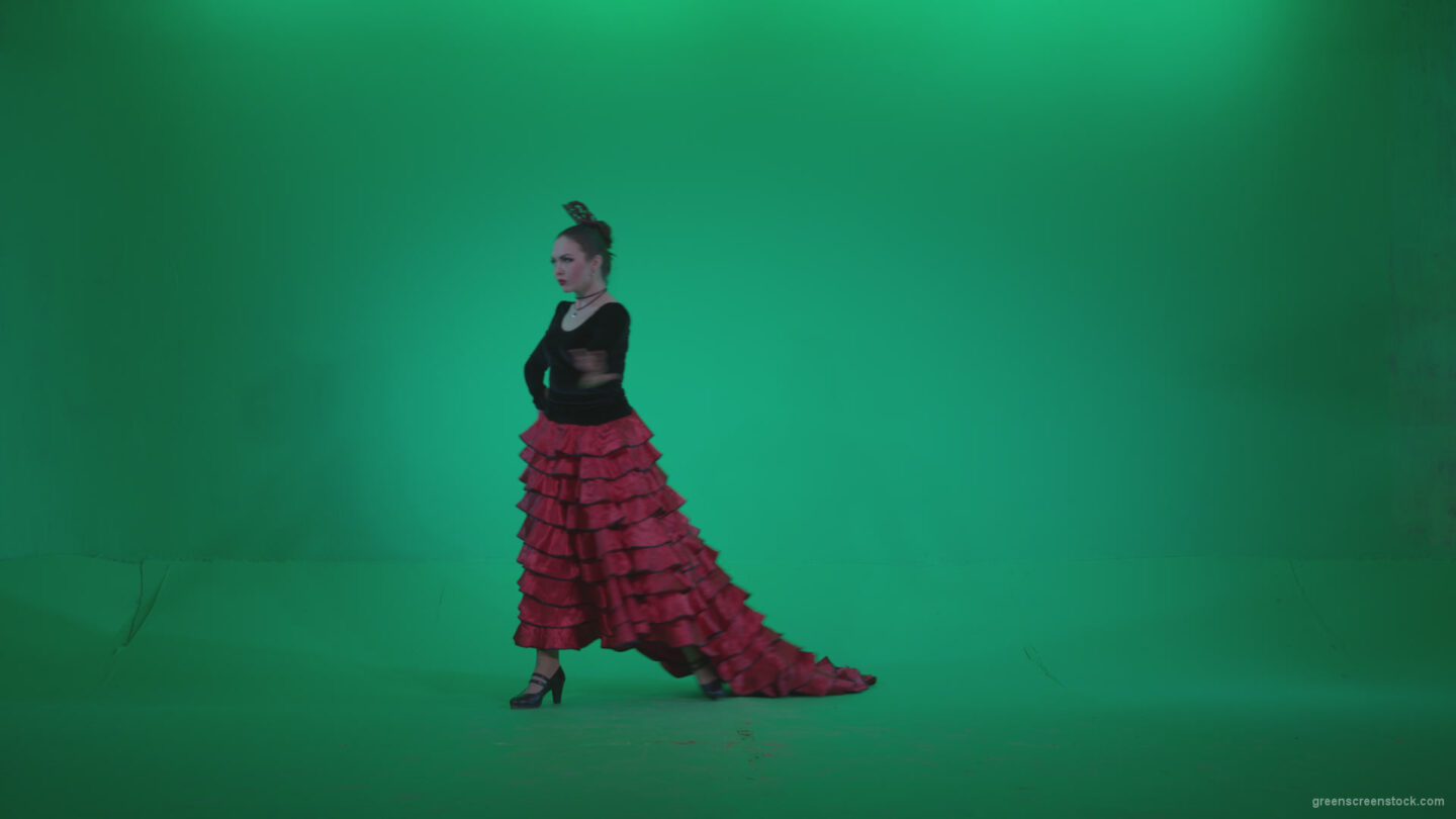 vj video background Flamenco-Red-and-Black-Dress-rb3_003