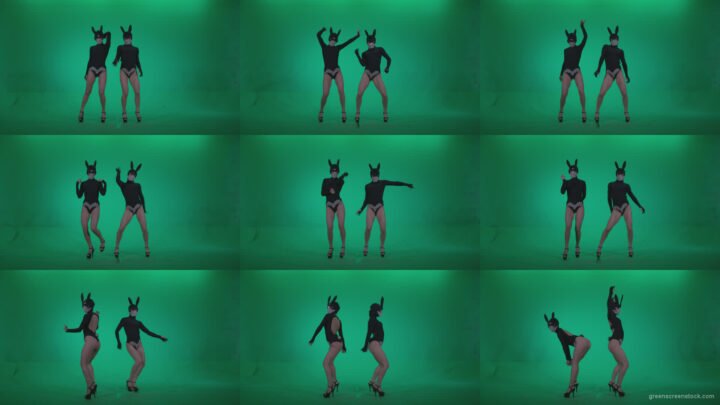 Go-go-Dancer-Black-Rabbit-u1-Green-Screen-Video-Footage Green Screen Stock