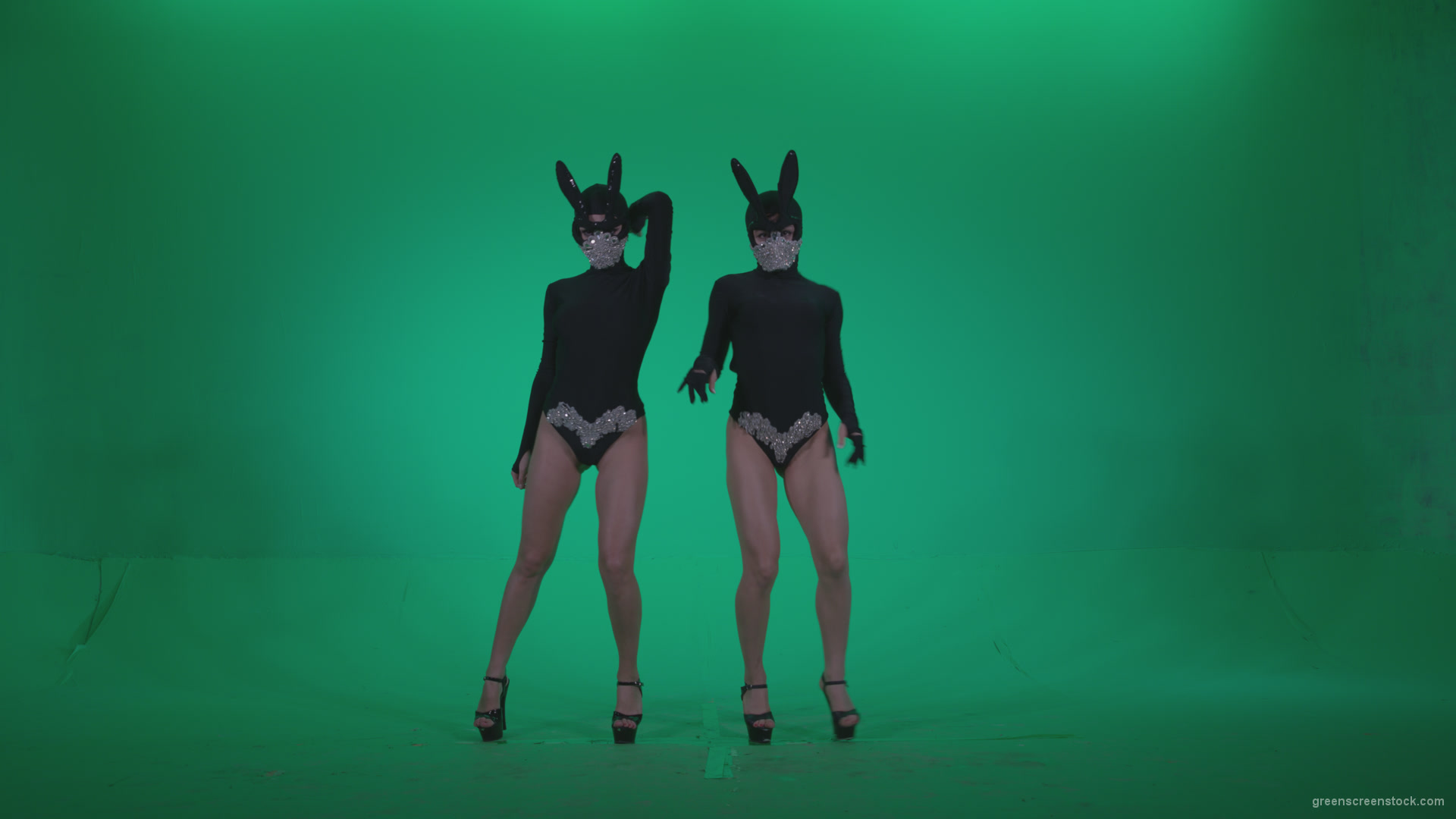 Go-go-Dancer-Black-Rabbit-u1-Green-Screen-Video-Footage_001 Green Screen Stock