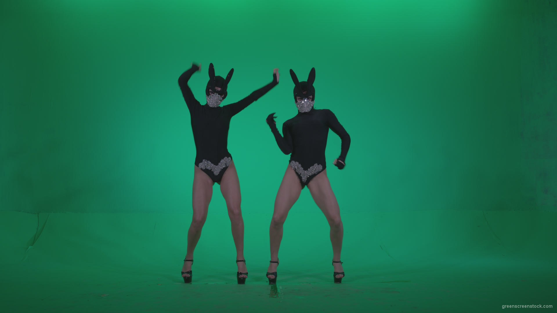 Go-go-Dancer-Black-Rabbit-u1-Green-Screen-Video-Footage_002 Green Screen Stock