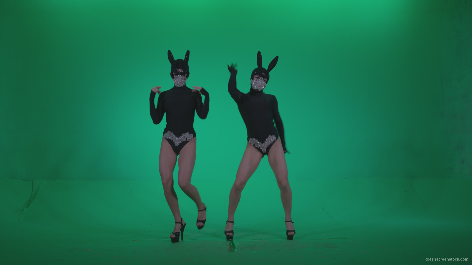 Go-go-Dancer-Black-Rabbit-u1-Green-Screen-Video-Footage_004 Green Screen Stock