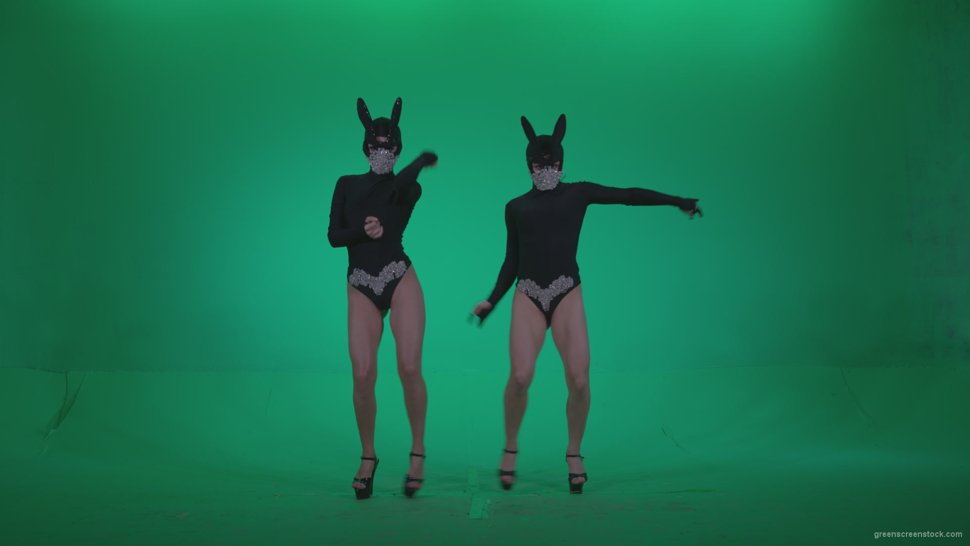 Go-go-Dancer-Black-Rabbit-u1-Green-Screen-Video-Footage_005 Green Screen Stock