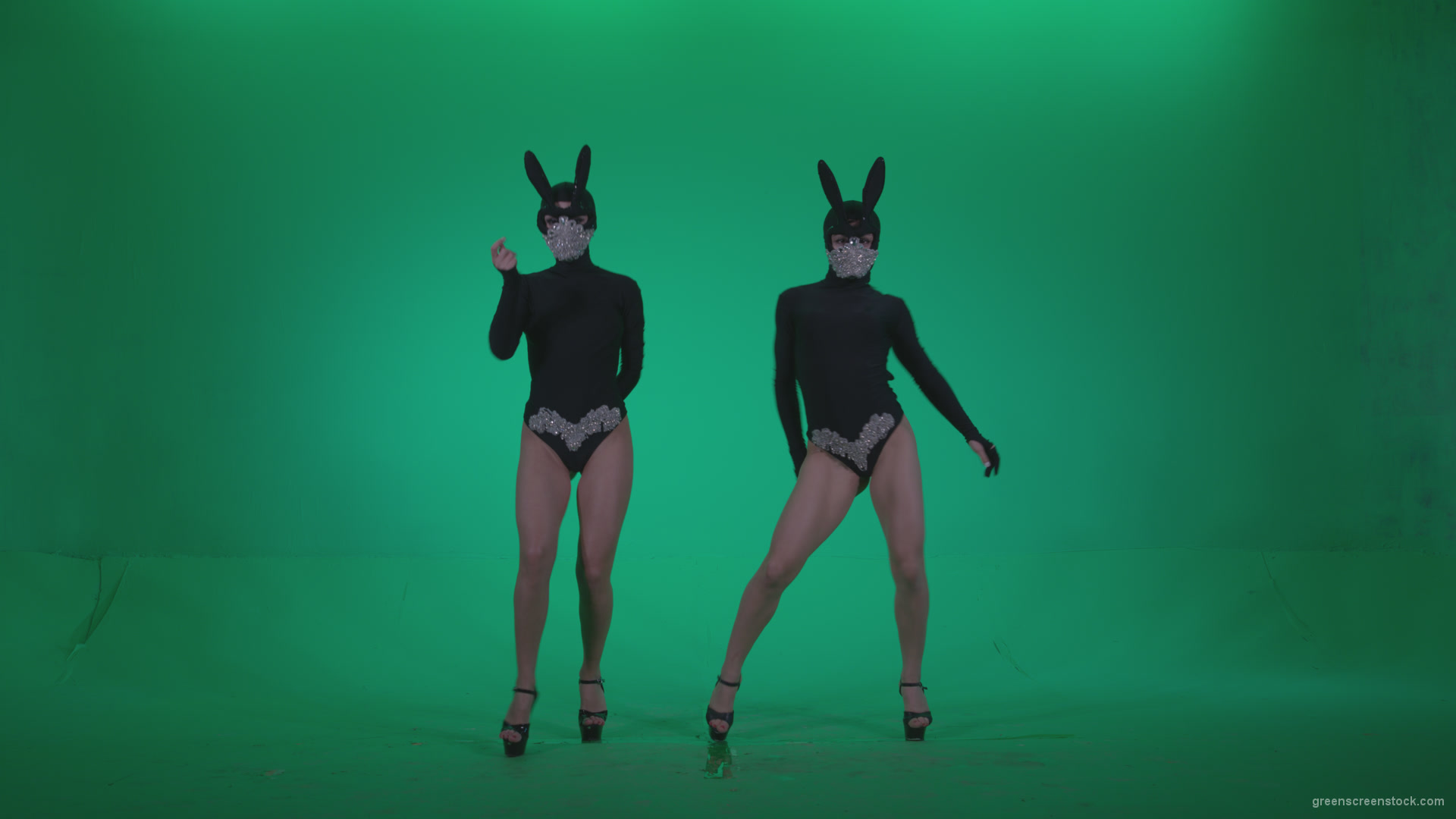 Go-go-Dancer-Black-Rabbit-u1-Green-Screen-Video-Footage_006 Green Screen Stock