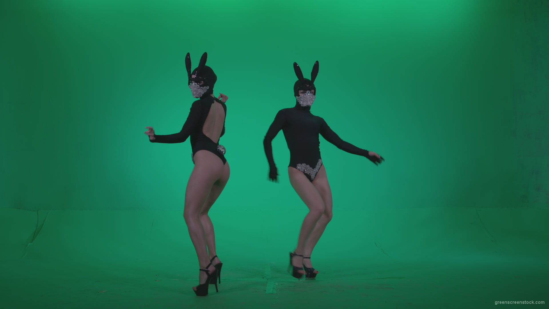 Go-go-Dancer-Black-Rabbit-u1-Green-Screen-Video-Footage_007 Green Screen Stock