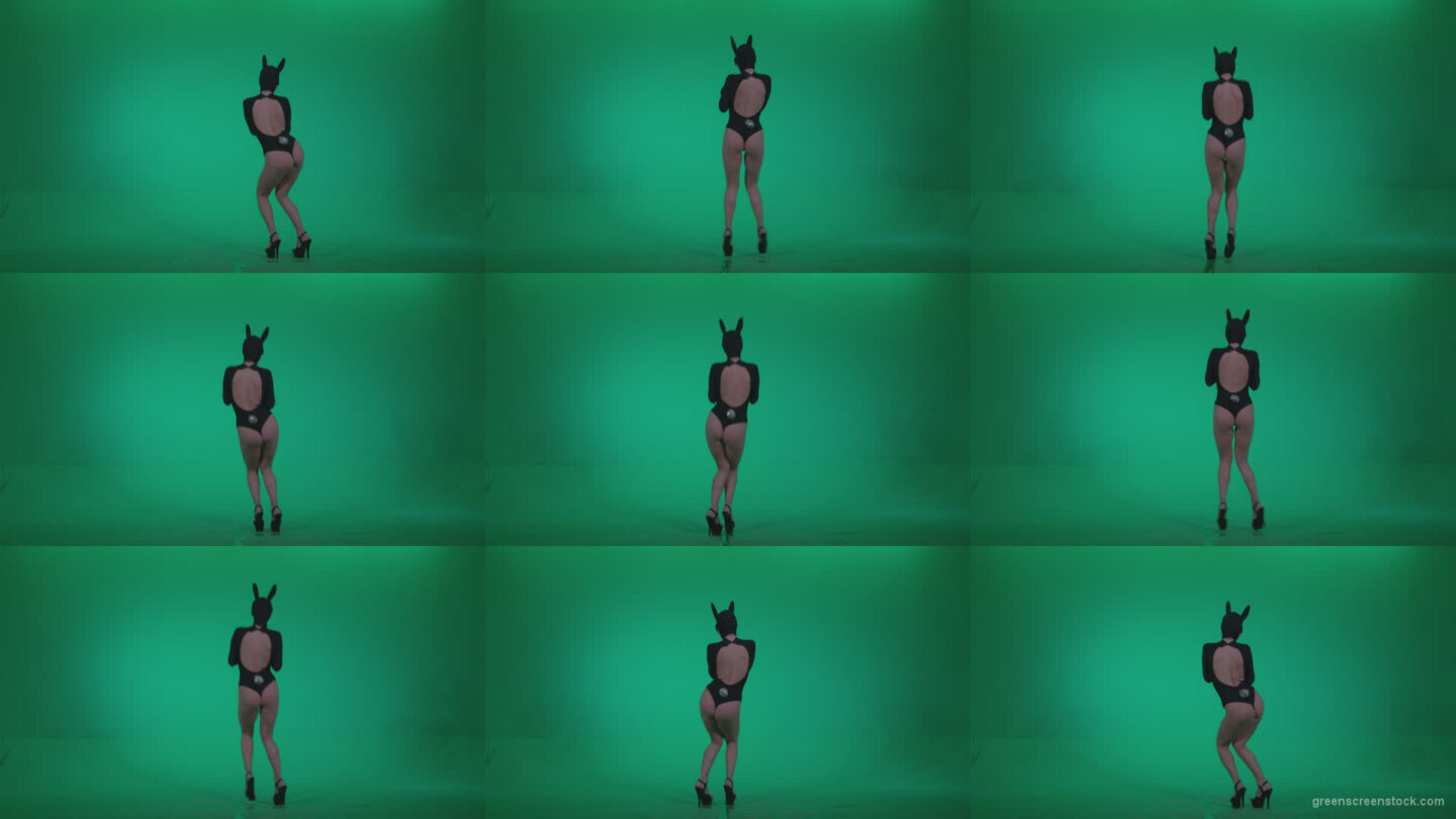 Go-go-Dancer-Black-Rabbit-u11-Green-Screen-Video-Footage Green Screen Stock