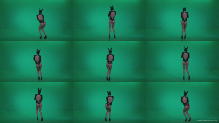 Go-go-Dancer-Black-Rabbit-u11-Green-Screen-Video-Footage Green Screen Stock