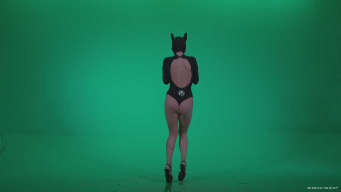 vj video background Go-go-Dancer-Black-Rabbit-u11-Green-Screen-Video-Footage_003