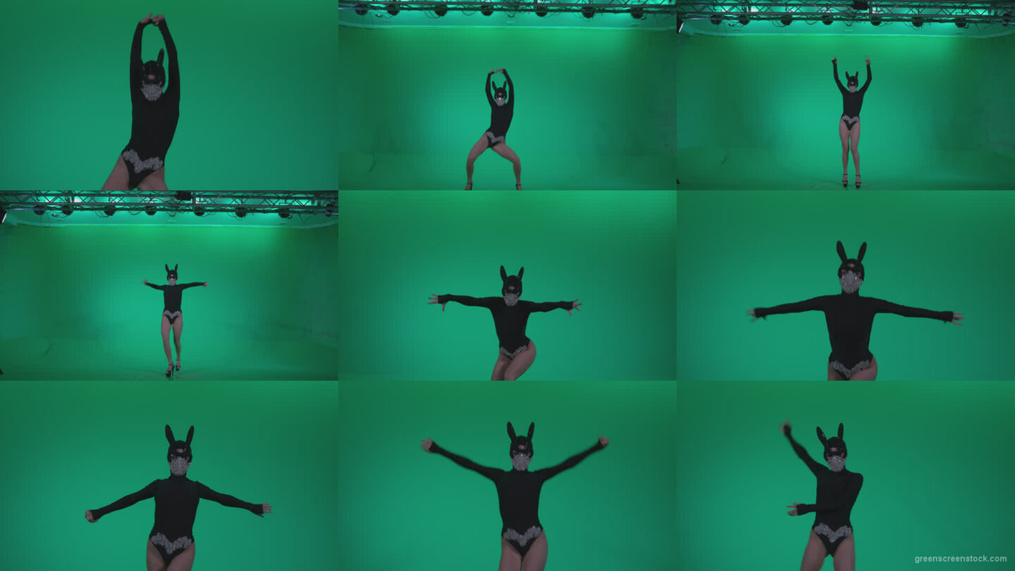 Go-go-Dancer-Black-Rabbit-u12-Green-Screen-Video-Footage Green Screen Stock